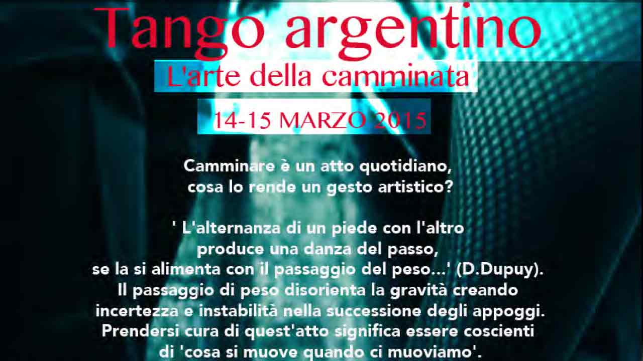 Scopri di più sull'articolo L’arte della camminata – Pavia marzo 2015